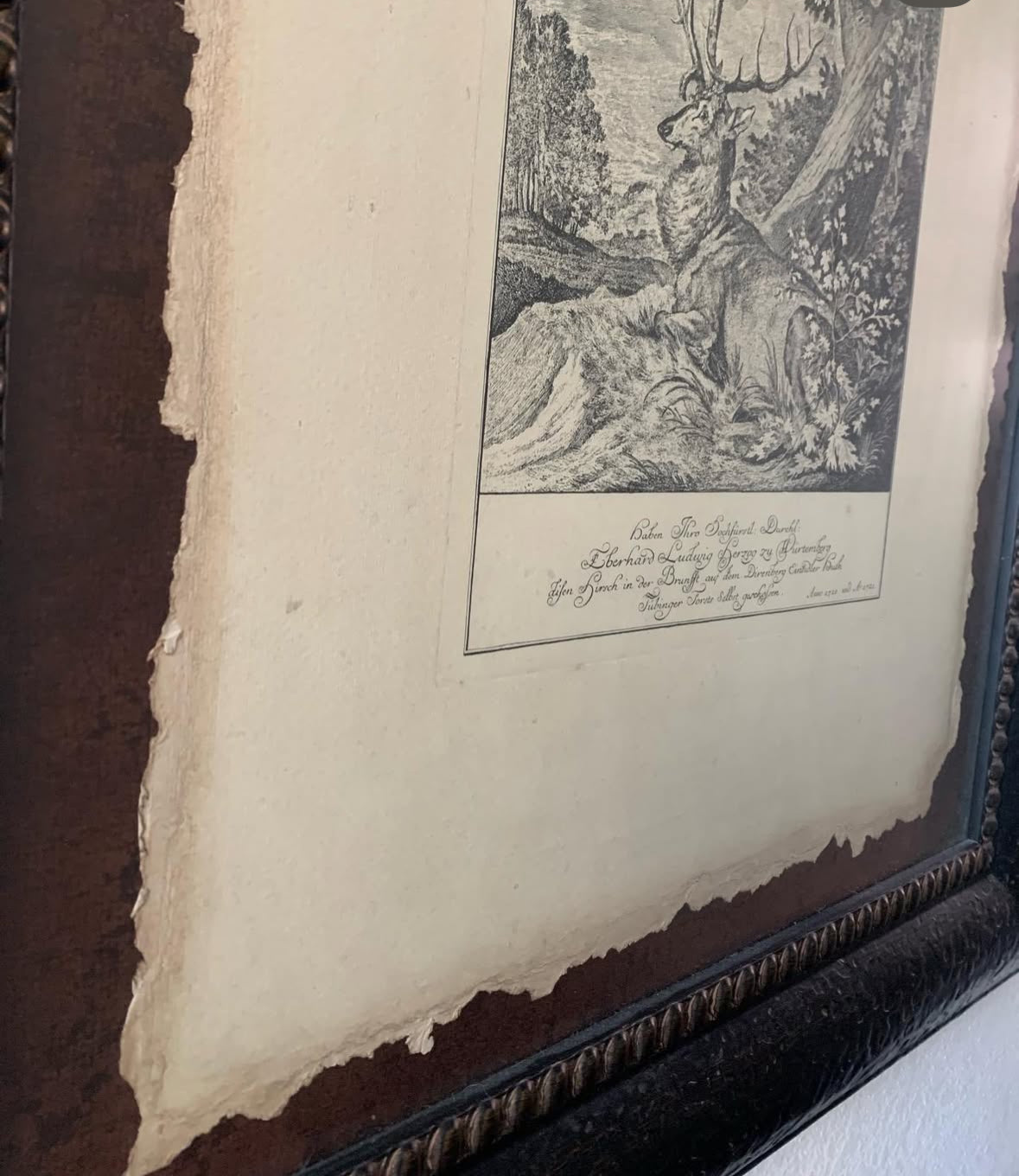 Antique Engraving by Johann Ridinger
