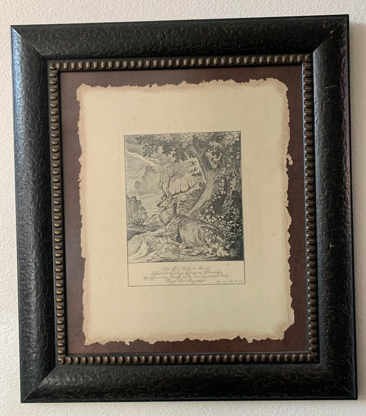 Antique Engraving by Johann Ridinger
